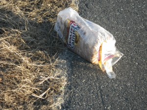 Abandoned Bread