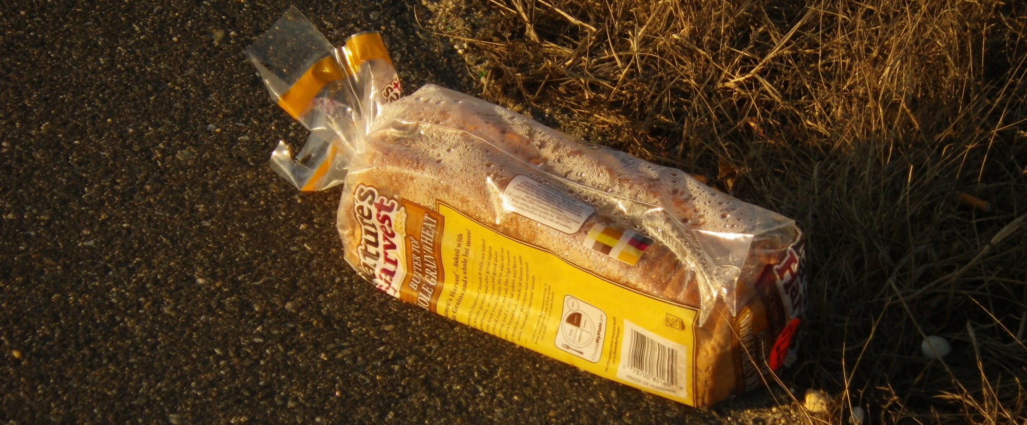 Abandoned Bread Blog